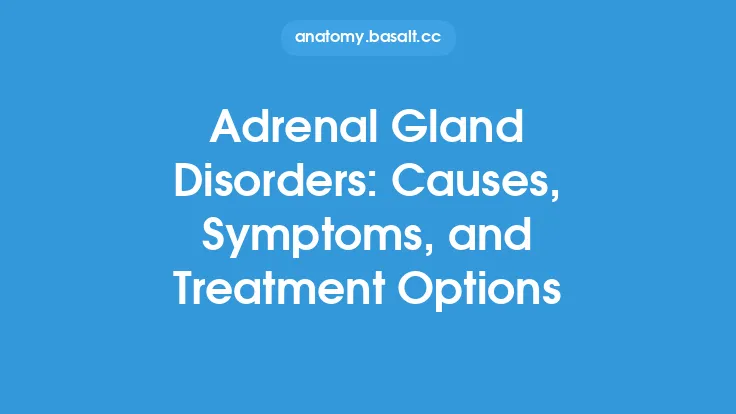 Adrenal Gland Disorders: Causes, Symptoms, and Treatment Options Thumbnail
