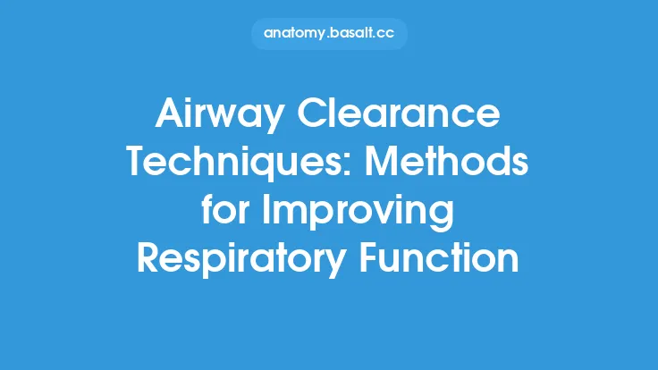 Airway Clearance Techniques: Methods for Improving Respiratory Function Thumbnail