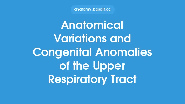 Anatomical Variations and Congenital Anomalies of the Upper Respiratory Tract Thumbnail