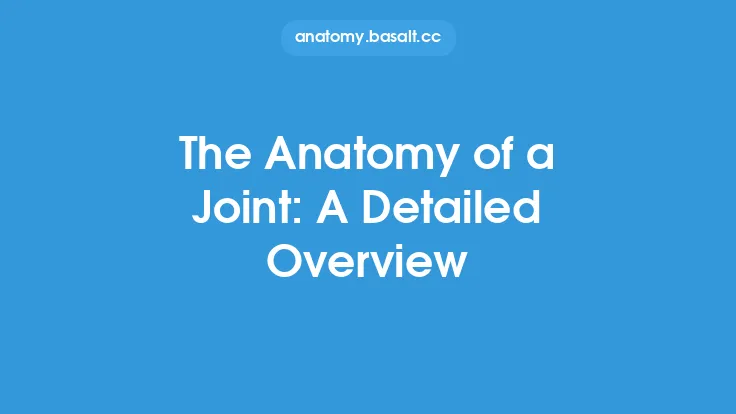 The Anatomy of a Joint: A Detailed Overview Thumbnail