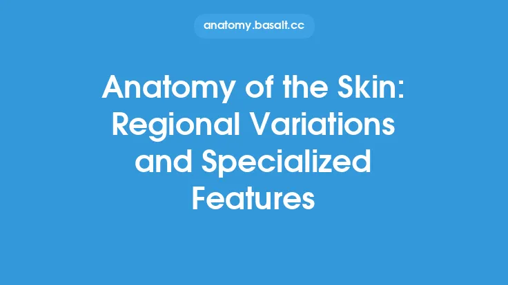 Anatomy of the Skin: Regional Variations and Specialized Features Thumbnail