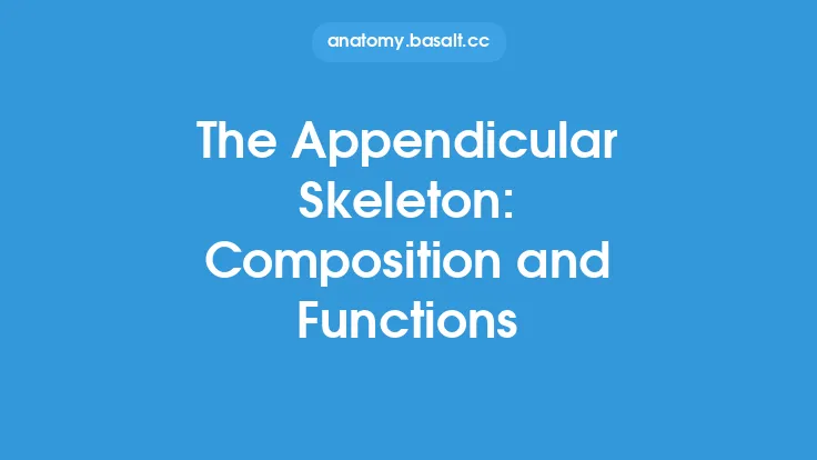 The Appendicular Skeleton: Composition and Functions Thumbnail