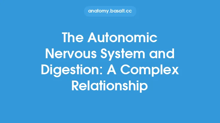 The Autonomic Nervous System and Digestion: A Complex Relationship Thumbnail