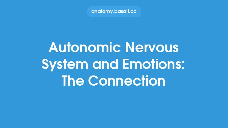 Autonomic Nervous System and Emotions: The Connection Thumbnail