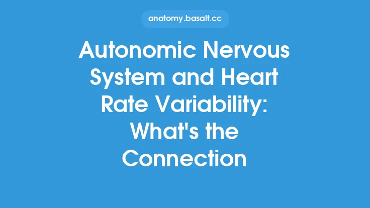 Autonomic Nervous System and Heart Rate Variability: What