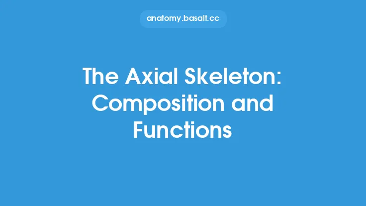 The Axial Skeleton: Composition and Functions Thumbnail