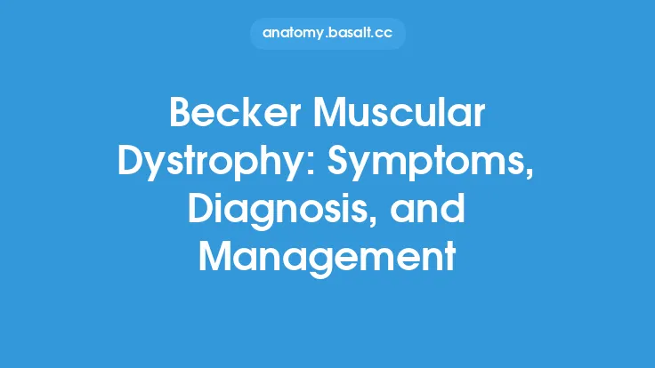 Becker Muscular Dystrophy: Symptoms, Diagnosis, and Management Thumbnail