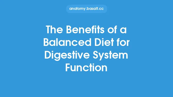 The Benefits of a Balanced Diet for Digestive System Function Thumbnail