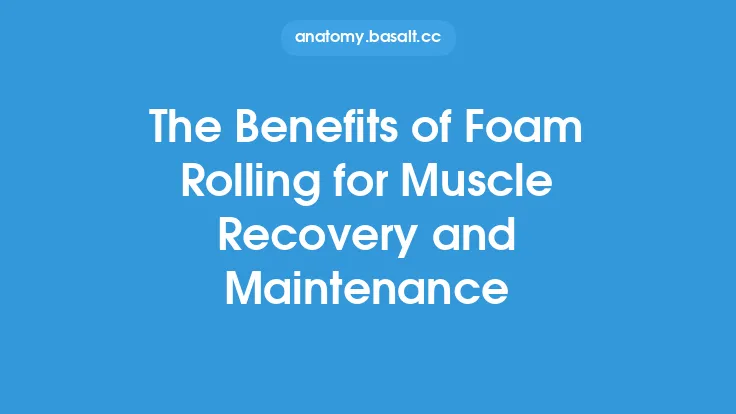 The Benefits of Foam Rolling for Muscle Recovery and Maintenance Thumbnail