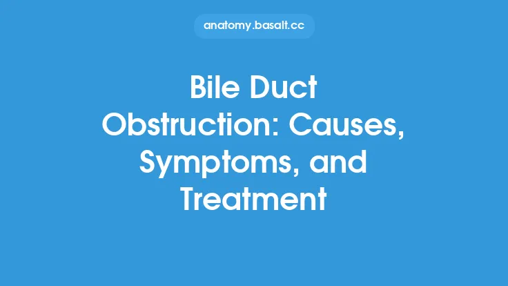 Bile Duct Obstruction: Causes, Symptoms, and Treatment Thumbnail