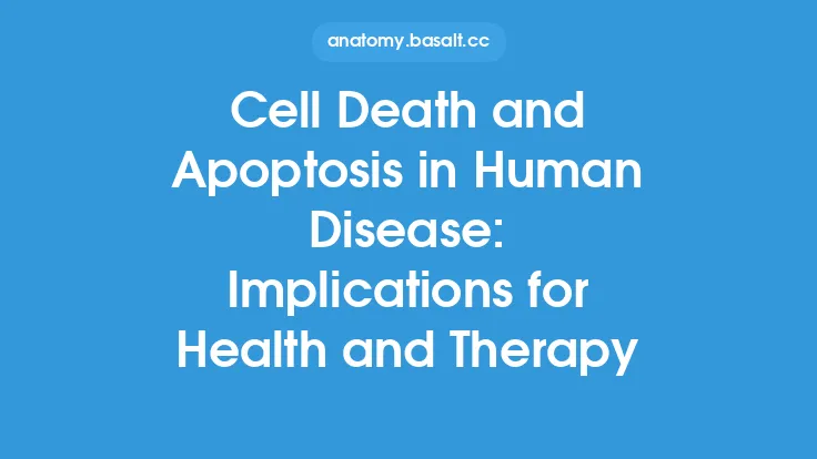 Cell Death and Apoptosis in Human Disease: Implications for Health and Therapy Thumbnail