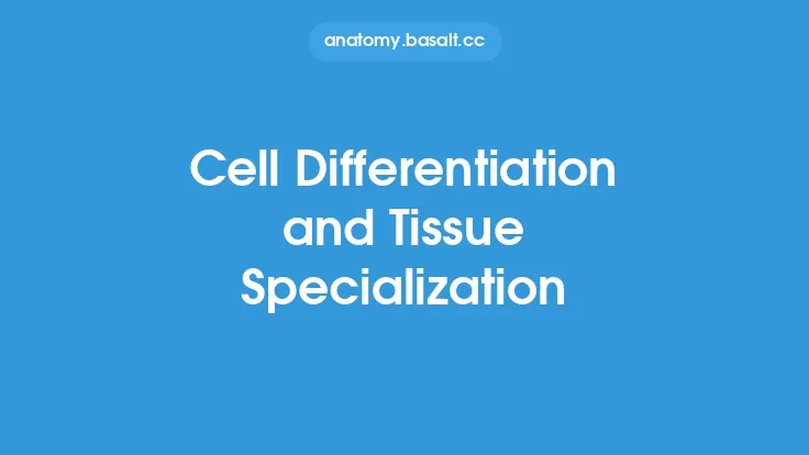Cell Differentiation and Tissue Specialization Thumbnail