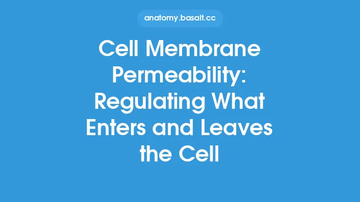Cell Membrane Permeability: Regulating What Enters and Leaves the Cell Thumbnail