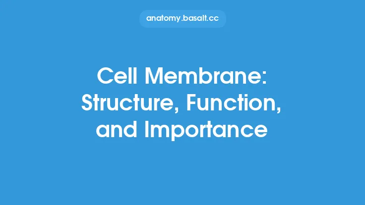 Cell Membrane: Structure, Function, and Importance Thumbnail