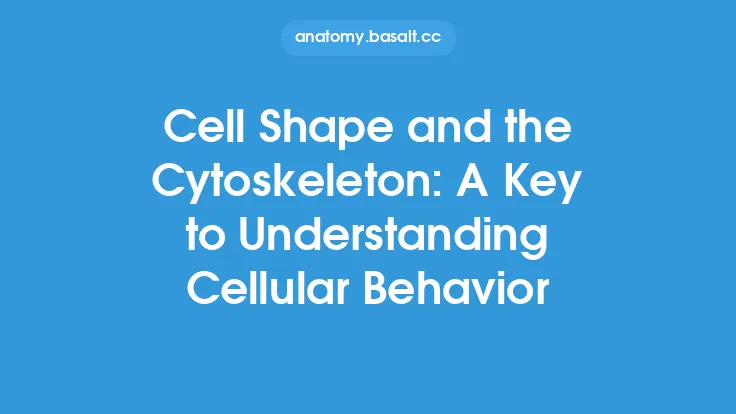 Cell Shape and the Cytoskeleton: A Key to Understanding Cellular Behavior Thumbnail