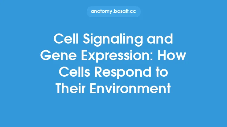 Cell Signaling and Gene Expression: How Cells Respond to Their Environment Thumbnail