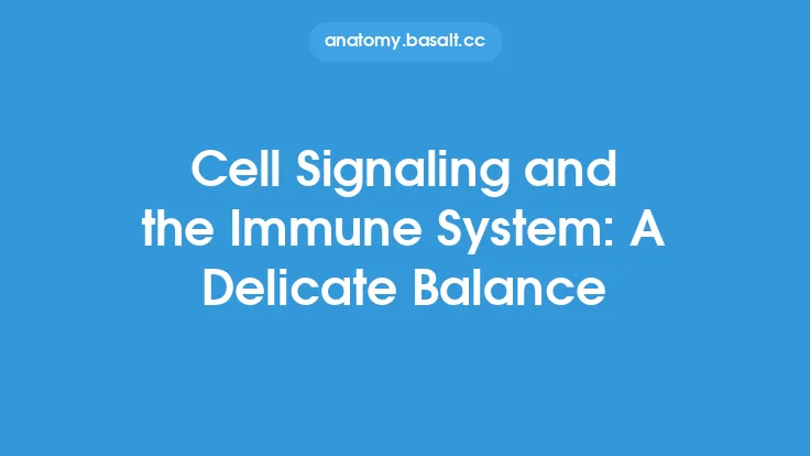 Cell Signaling and the Immune System: A Delicate Balance Thumbnail