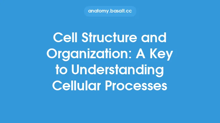 Cell Structure and Organization: A Key to Understanding Cellular Processes Thumbnail