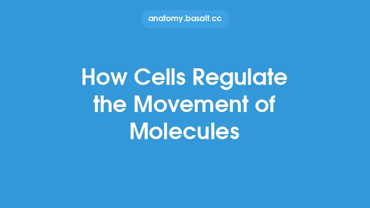 How Cells Regulate the Movement of Molecules Thumbnail