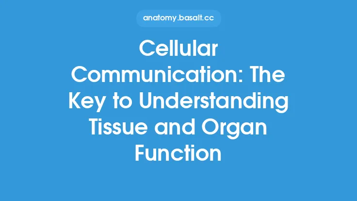 Cellular Communication: The Key to Understanding Tissue and Organ Function Thumbnail