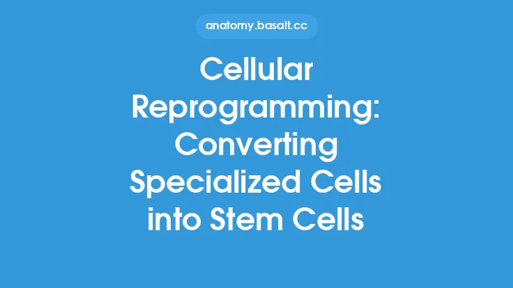 Cellular Reprogramming: Converting Specialized Cells into Stem Cells Thumbnail