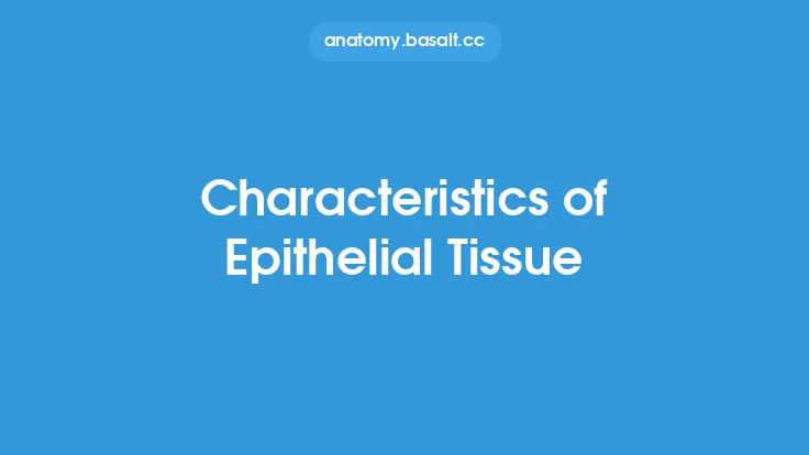 Characteristics of Epithelial Tissue Thumbnail