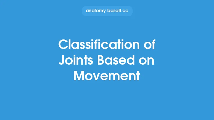 Classification of Joints Based on Movement Thumbnail