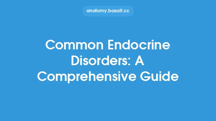 Common Endocrine Disorders: A Comprehensive Guide Thumbnail