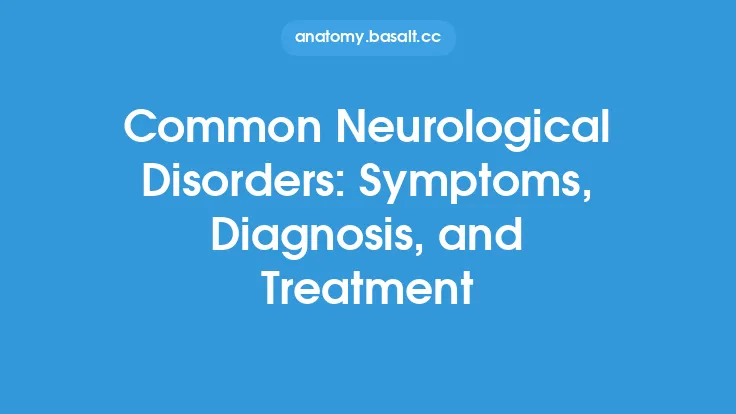 Common Neurological Disorders: Symptoms, Diagnosis, and Treatment Thumbnail