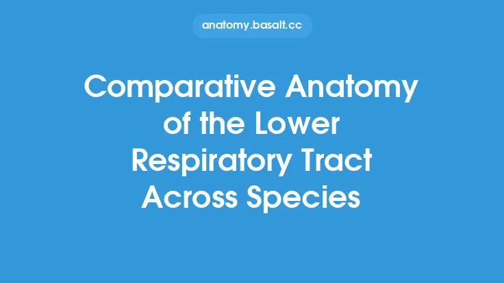 Comparative Anatomy of the Lower Respiratory Tract Across Species Thumbnail
