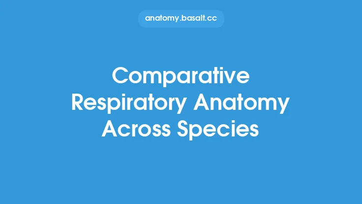 Comparative Respiratory Anatomy Across Species Thumbnail
