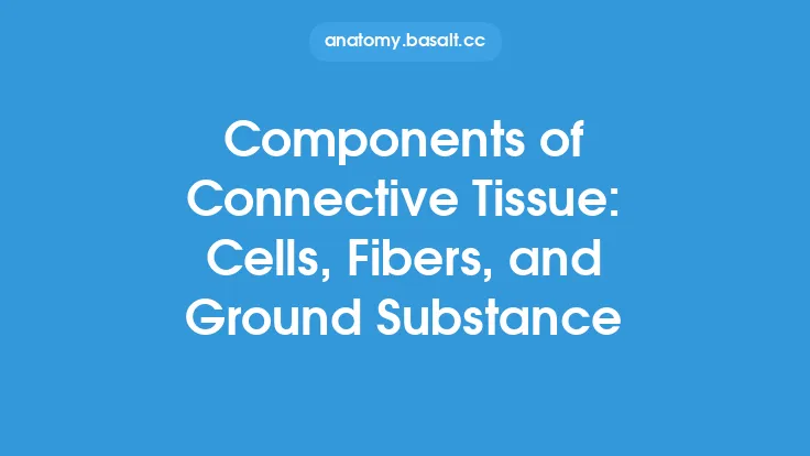 Components of Connective Tissue: Cells, Fibers, and Ground Substance Thumbnail
