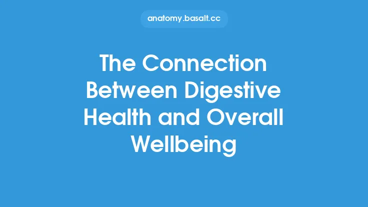 The Connection Between Digestive Health and Overall Wellbeing Thumbnail