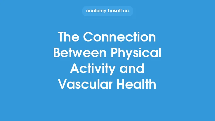 The Connection Between Physical Activity and Vascular Health Thumbnail