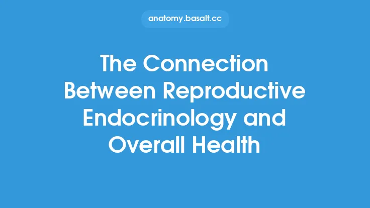 The Connection Between Reproductive Endocrinology and Overall Health Thumbnail