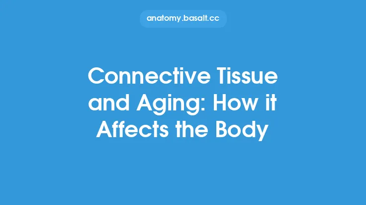 Connective Tissue and Aging: How it Affects the Body Thumbnail