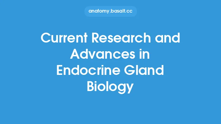 Current Research and Advances in Endocrine Gland Biology Thumbnail