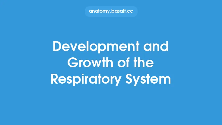 Development and Growth of the Respiratory System Thumbnail