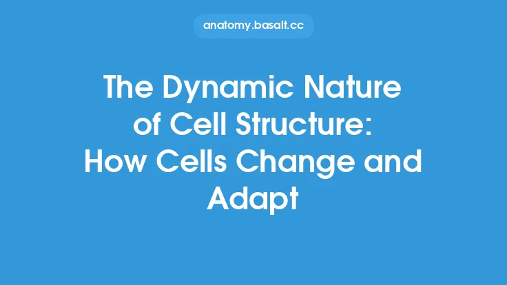 The Dynamic Nature of Cell Structure: How Cells Change and Adapt Thumbnail