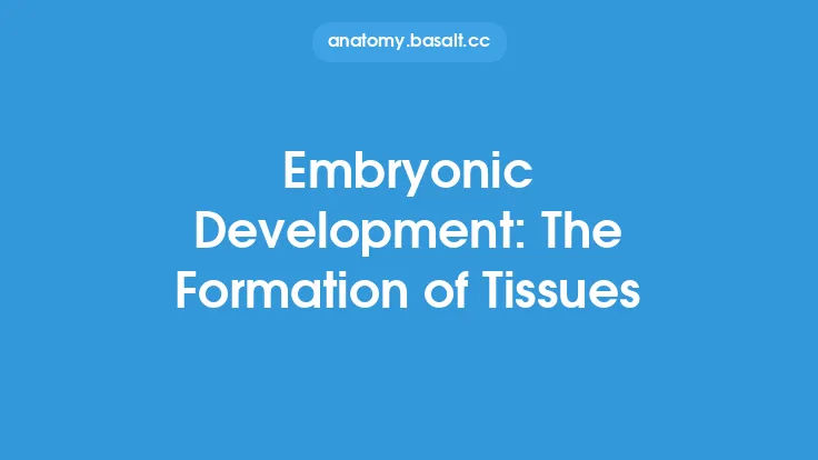 Embryonic Development: The Formation of Tissues Thumbnail