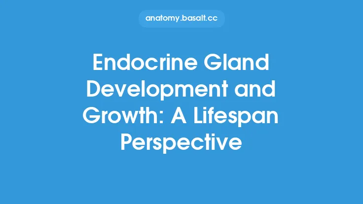 Endocrine Gland Development and Growth: A Lifespan Perspective Thumbnail