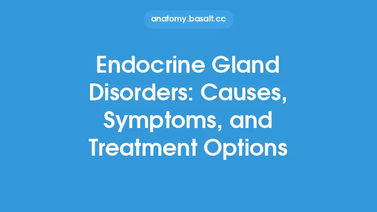 Endocrine Gland Disorders: Causes, Symptoms, and Treatment Options Thumbnail