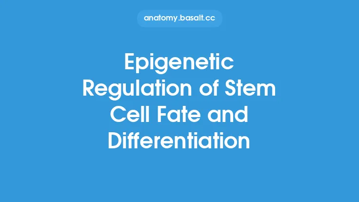Epigenetic Regulation of Stem Cell Fate and Differentiation Thumbnail
