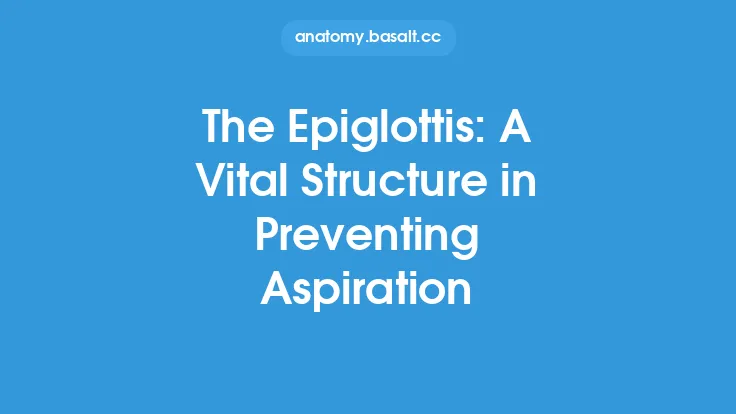 The Epiglottis: A Vital Structure in Preventing Aspiration Thumbnail