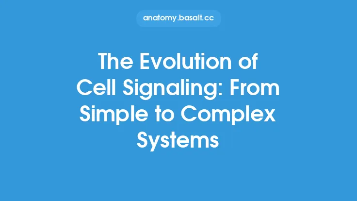 The Evolution of Cell Signaling: From Simple to Complex Systems Thumbnail