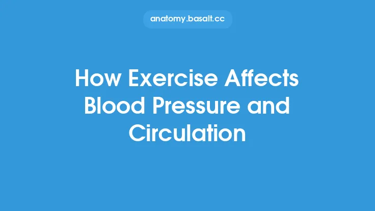 How Exercise Affects Blood Pressure and Circulation Thumbnail