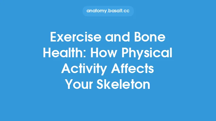Exercise and Bone Health: How Physical Activity Affects Your Skeleton Thumbnail