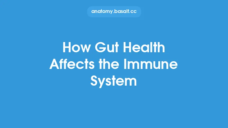 How Gut Health Affects the Immune System Thumbnail