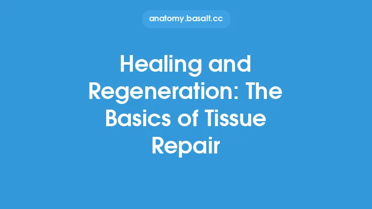 Healing and Regeneration: The Basics of Tissue Repair Thumbnail