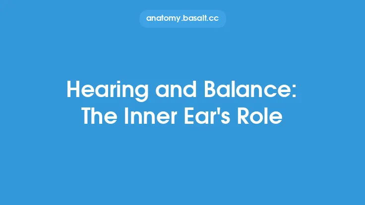 Hearing and Balance: The Inner Ear